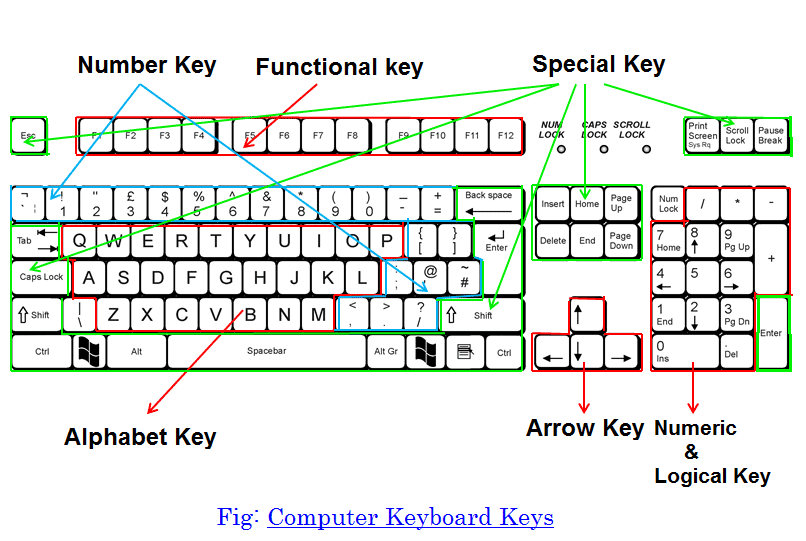 Computer Keyboard Keys And Their Functions Wikipedia at Ella Byatt blog