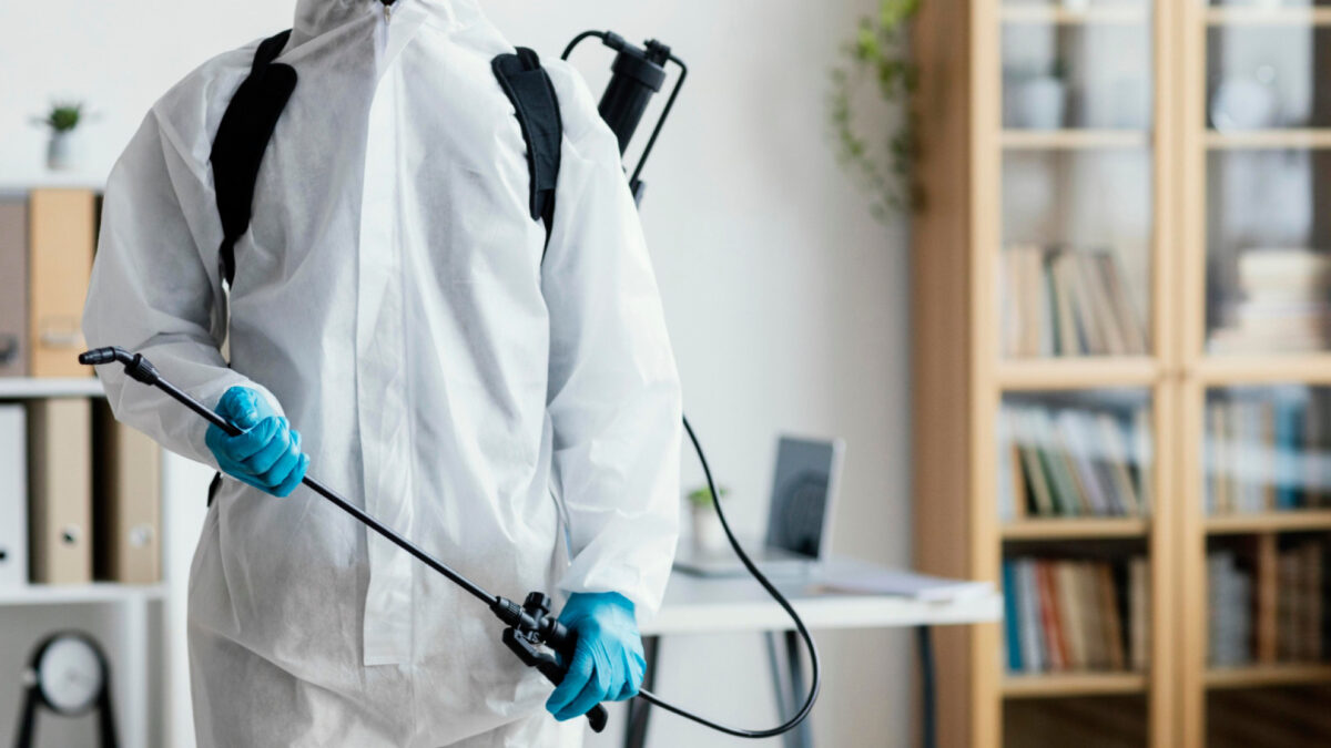 L'impact des rats sur les entreprises et la bureautique